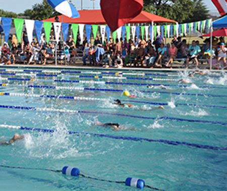 Swim meet in the pool